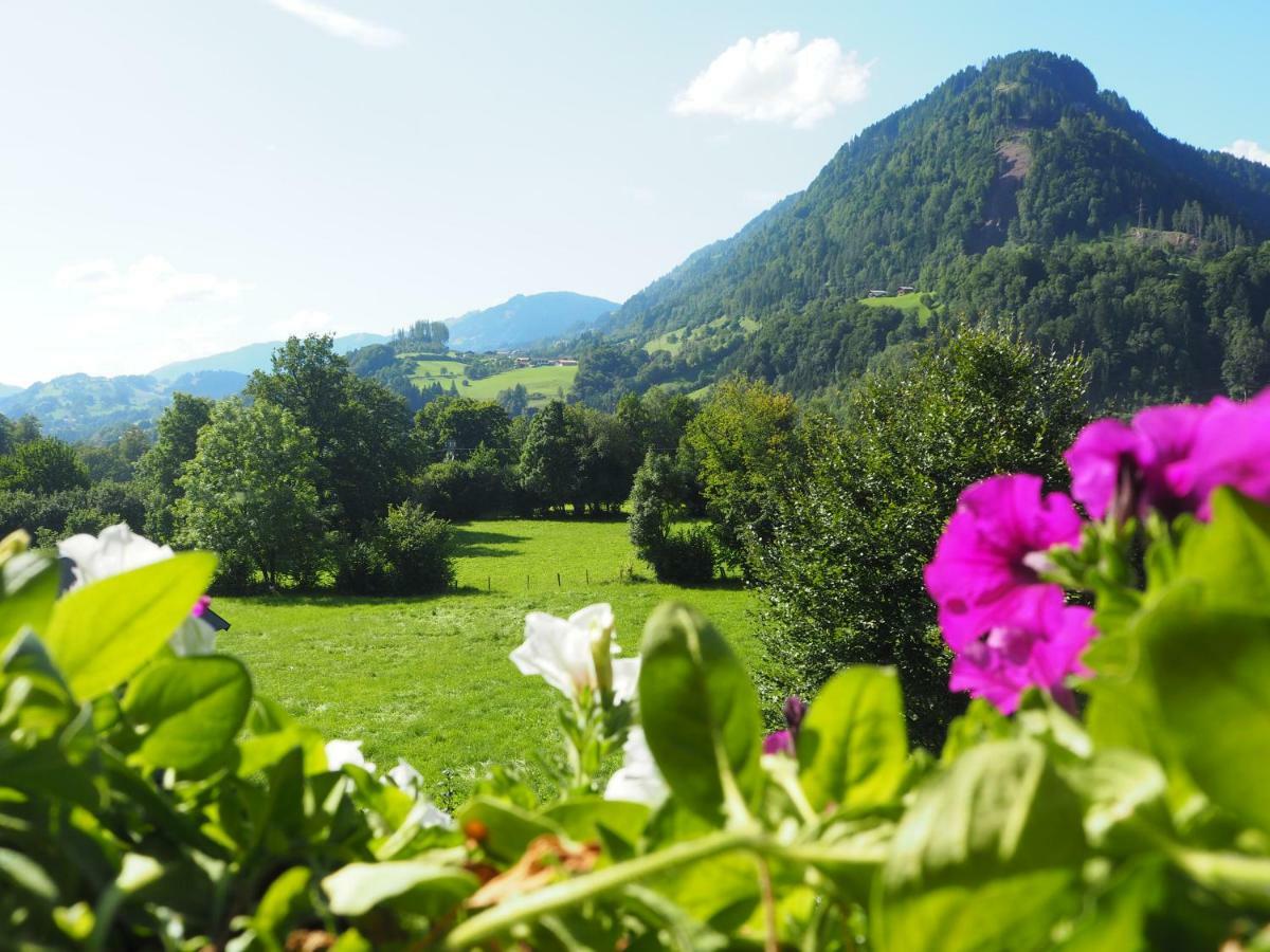 Rohrmoser Appartements Sankt Johann im Pongau Extérieur photo